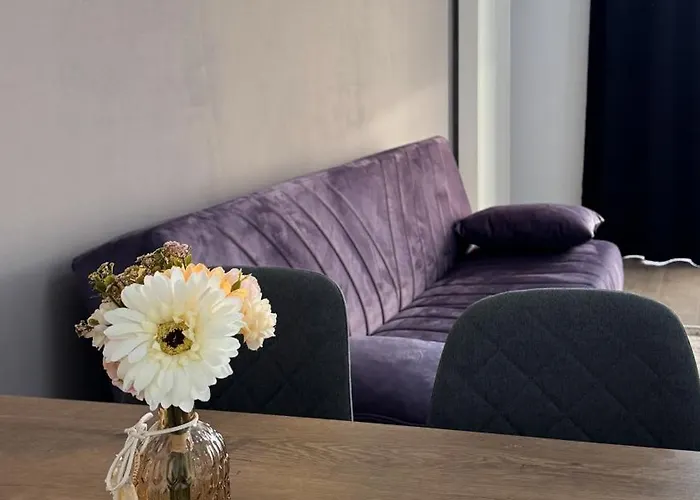 View In Coresi Apartment Brasov