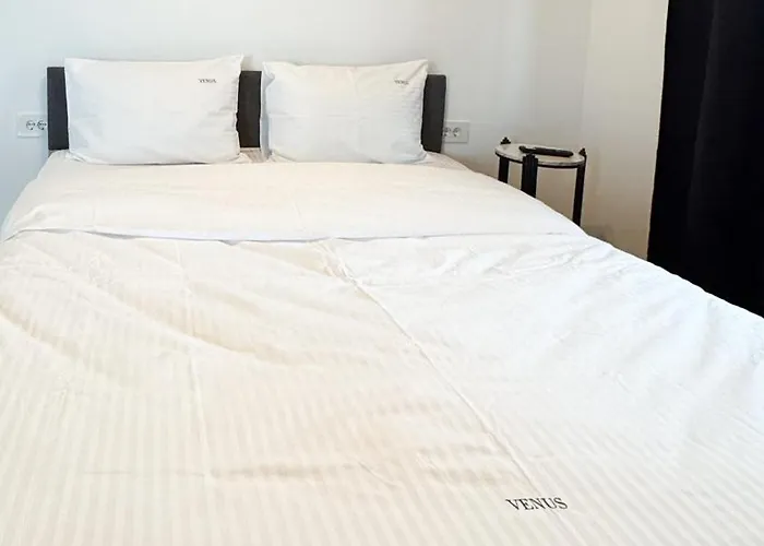 Apartman View In Coresi *